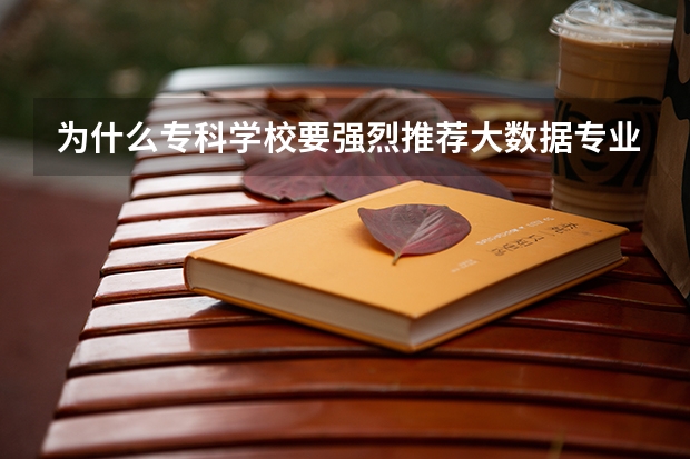 为什么专科学校要强烈推荐大数据专业?