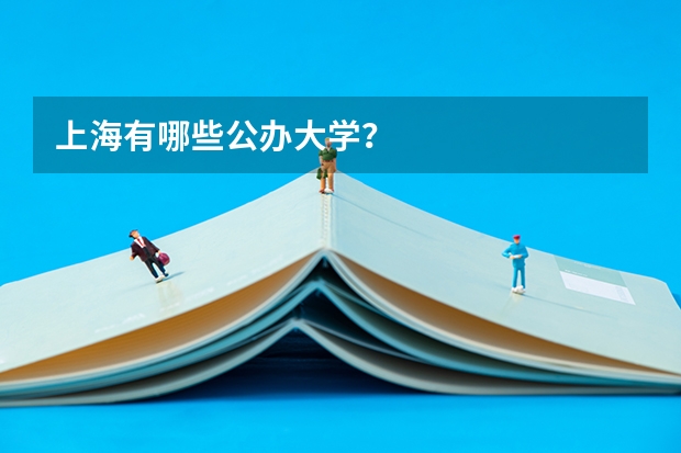 上海有哪些公办大学？