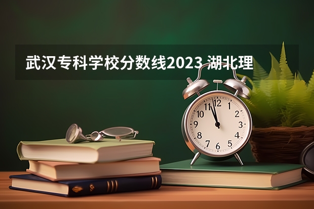 武汉专科学校分数线2023 湖北理工学院专科分数线