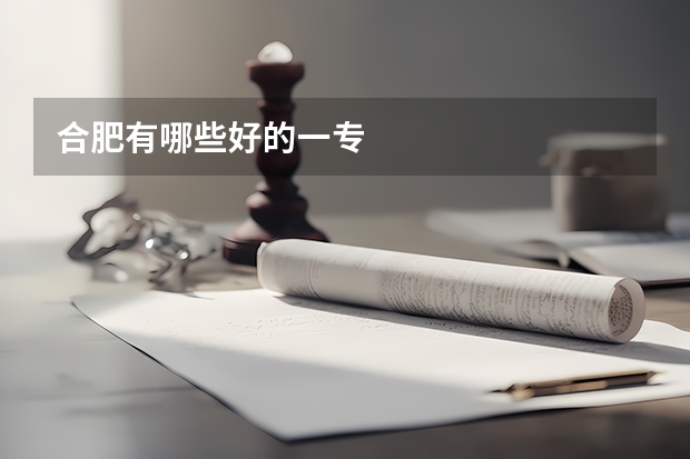 合肥有哪些好的一专