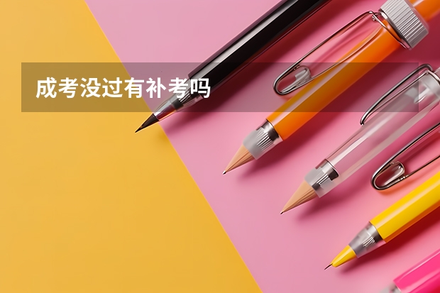 成考没过有补考吗