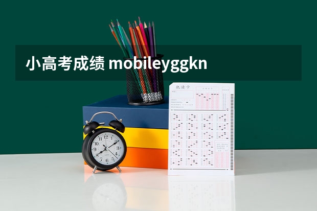 小高考成绩 mobile.yggk.net查询成绩（小高考成绩查询网址）