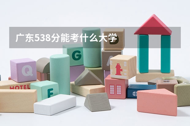广东538分能考什么大学