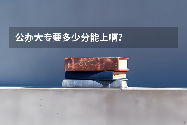 公办大专要多少分能上啊？