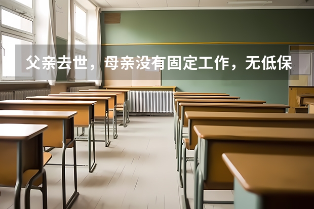 父亲去世，母亲没有固定工作，无低保，可以申请大学的补助金吗？