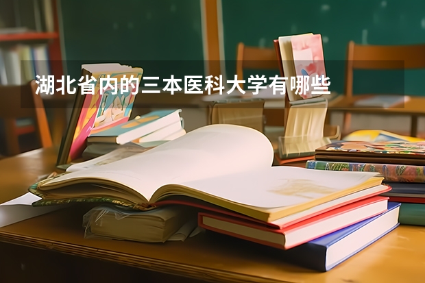 湖北省内的三本医科大学有哪些