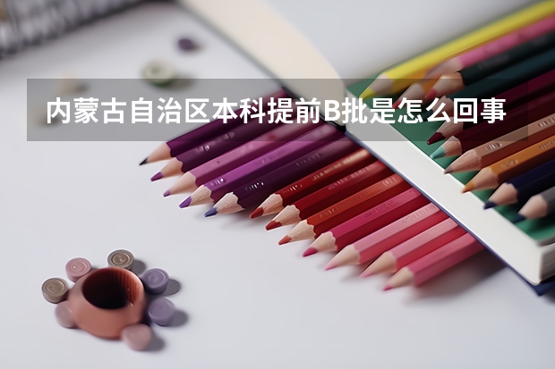 内蒙古自治区本科提前B批是怎么回事?