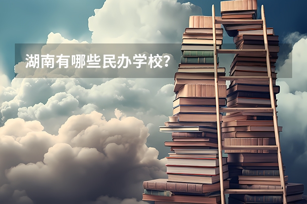湖南有哪些民办学校？
