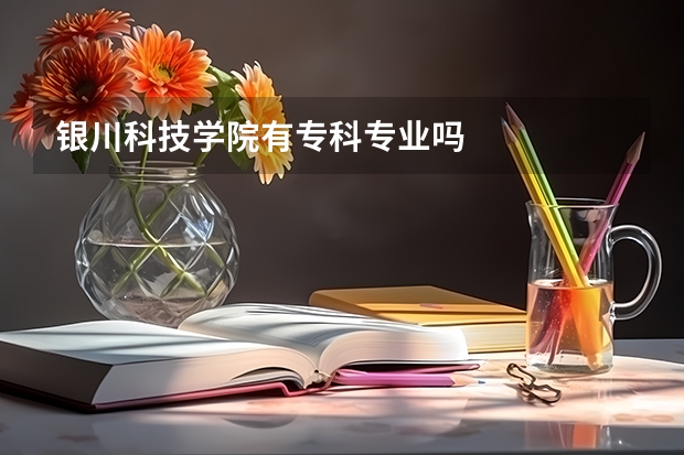 银川科技学院有专科专业吗