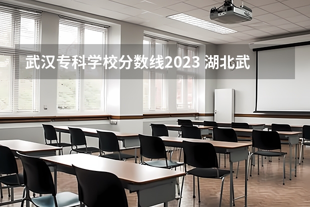 武汉专科学校分数线2023 湖北武汉大专分数线