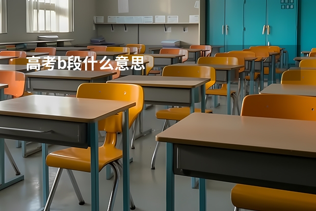 高考b段什么意思