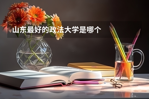 山东最好的政法大学是哪个