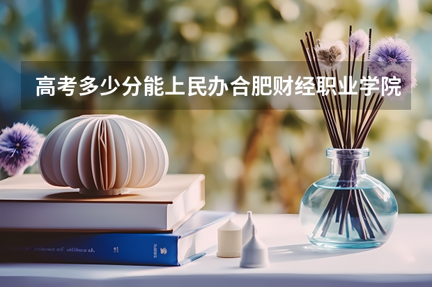 高考多少分能上民办合肥财经职业学院