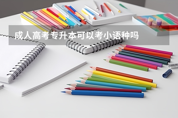 成人高考专升本可以考小语种吗