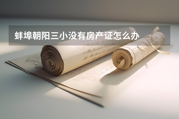 蚌埠朝阳三小没有房产证怎么办