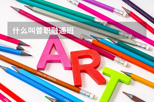 什么叫普职融通班