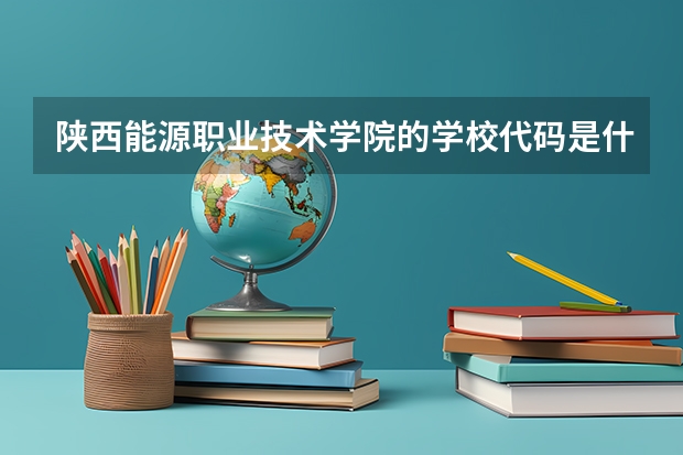 陕西能源职业技术学院的学校代码是什么
