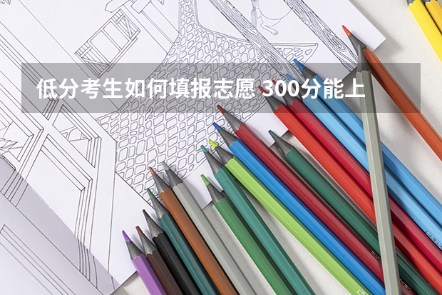 低分考生如何填报志愿 300分能上哪些大学