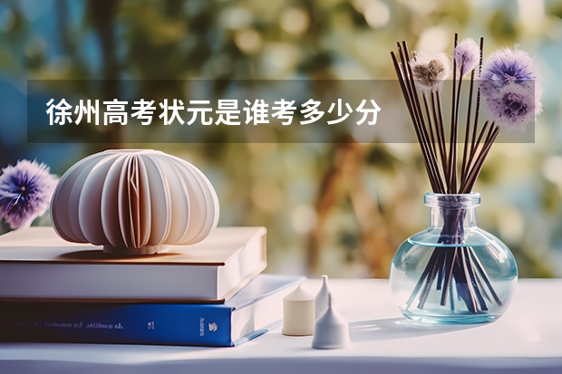 徐州高考状元是谁考多少分