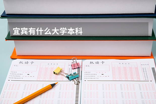 宜宾有什么大学本科