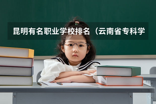 昆明有名职业学校排名（云南省专科学校排行榜前十名）