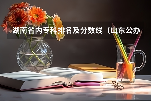湖南省内专科排名及分数线（山东公办专科学校排名及分数线表格）
