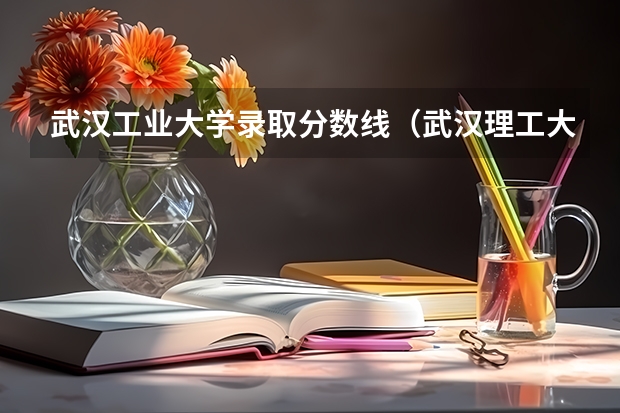 武汉工业大学录取分数线（武汉理工大学计算机录取分数线）