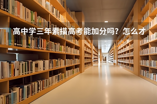 高中学三年素描高考能加分吗？怎么才算特长？