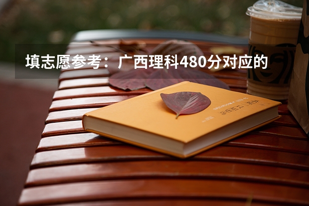 填志愿参考：广西理科480分对应的大学（桂林电子科技大学北海校区分数线）
