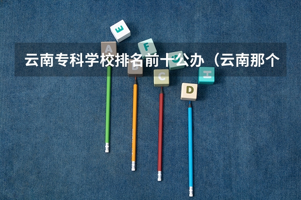 云南专科学校排名前十公办（云南那个职业学院好？）
