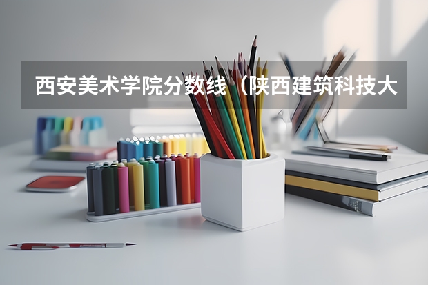 西安美术学院分数线（陕西建筑科技大学美术录取分数线）