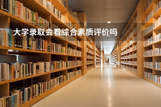 大学录取会看综合素质评价吗