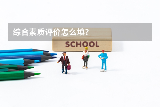 综合素质评价怎么填？