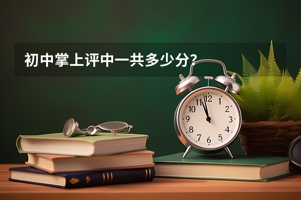 初中掌上评中一共多少分？