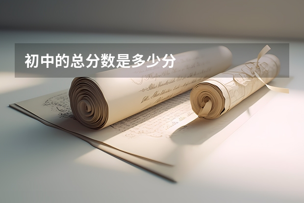 初中的总分数是多少分