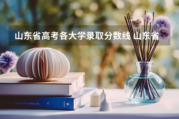 山东省高考各大学录取分数线 山东省各大学录取分数线