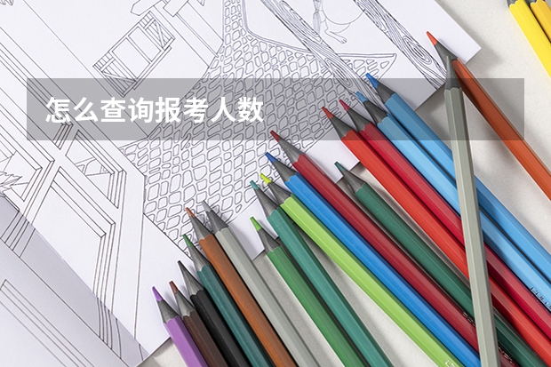 怎么查询报考人数