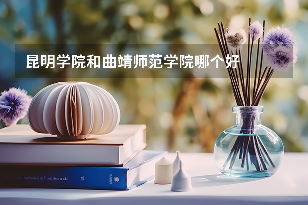 昆明学院和曲靖师范学院哪个好