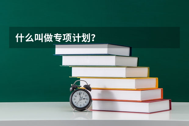 什么叫做专项计划？