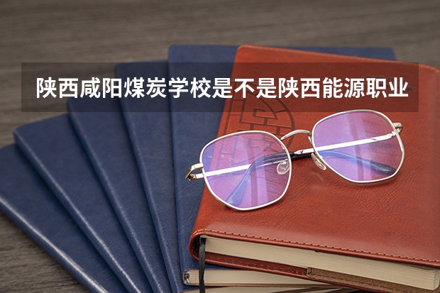 陕西咸阳煤炭学校是不是陕西能源职业技术学校 陕西省的所有公办大专院校