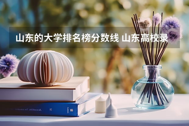 山东的大学排名榜分数线 山东高校录取分数线排名