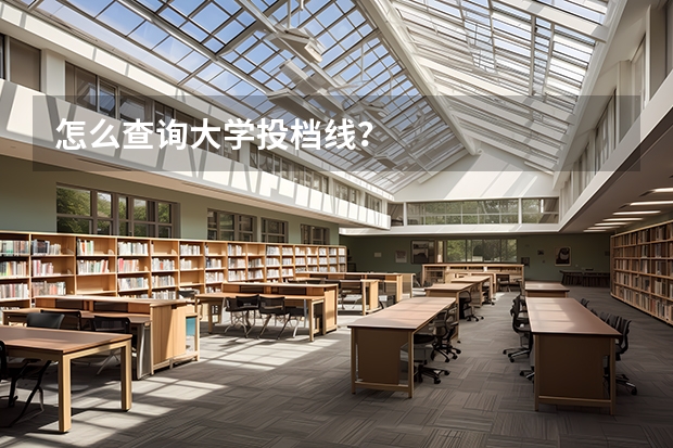 怎么查询大学投档线？