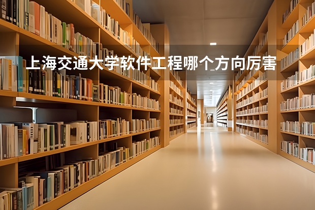 上海交通大学软件工程哪个方向厉害