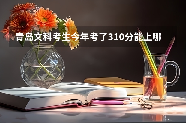 青岛文科考生今年考了310分能上哪些学校