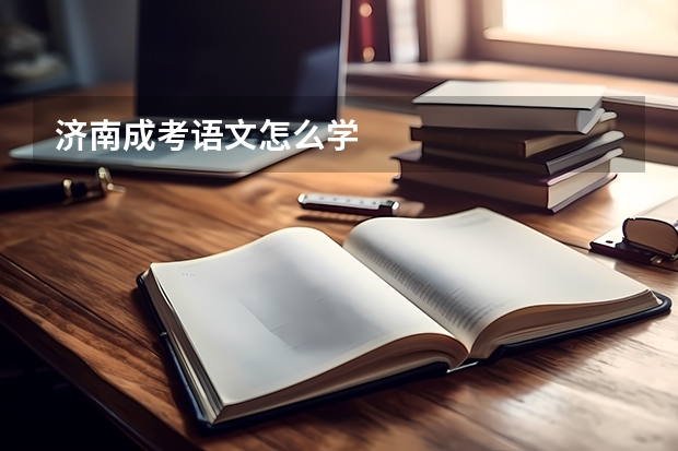 济南成考语文怎么学