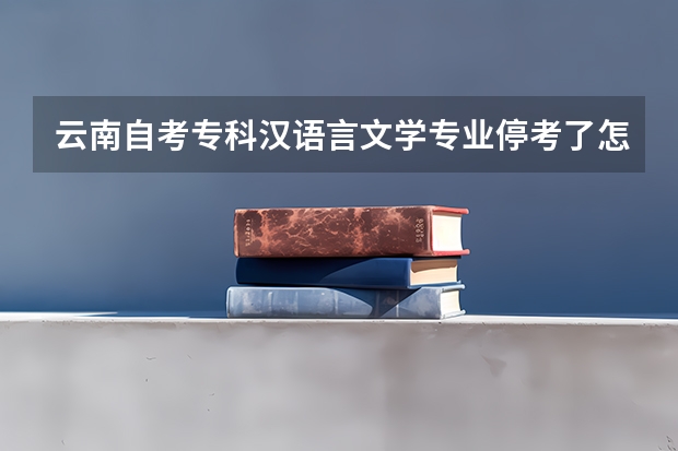 云南自考专科汉语言文学专业停考了怎么办?