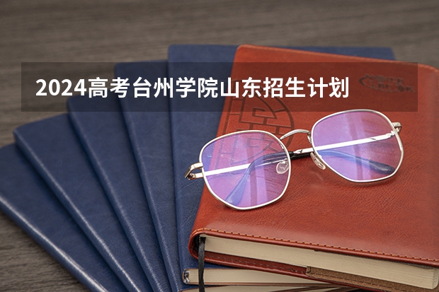2024高考台州学院山东招生计划 招多少人