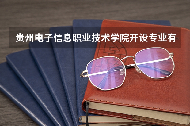 贵州电子信息职业技术学院开设专业有哪些 学科评估如何