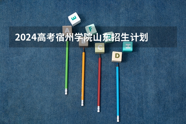 2024高考宿州学院山东招生计划 招多少人