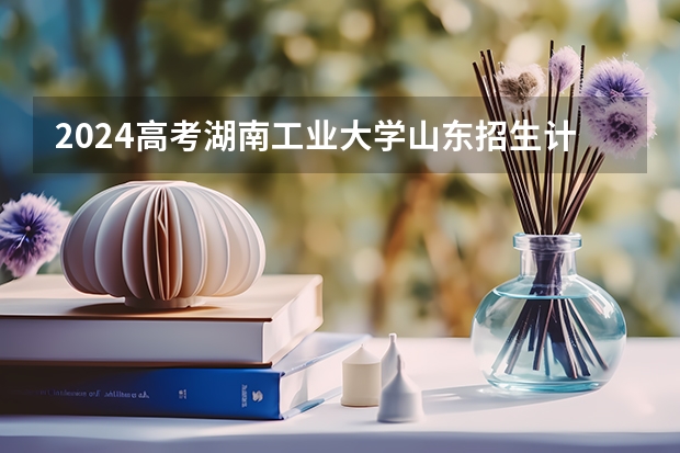 2024高考湖南工业大学山东招生计划 招多少人